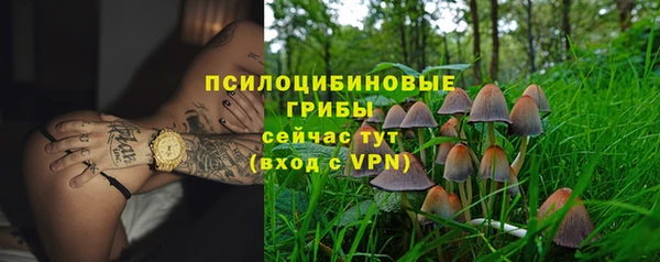 mix Пересвет