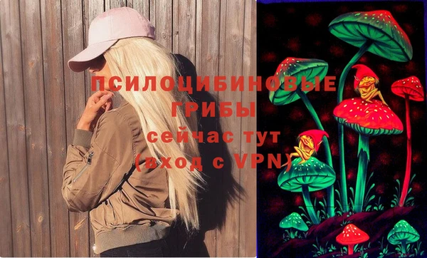 бошки Абаза