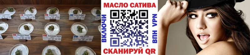 дарк нет клад  Катав-Ивановск  ТГК THC oil  магазин продажи  