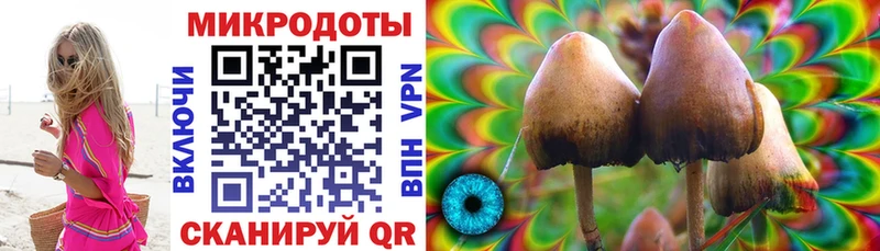 Галлюциногенные грибы MAGIC MUSHROOMS  Катав-Ивановск 